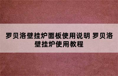 罗贝洛壁挂炉面板使用说明 罗贝洛壁挂炉使用教程